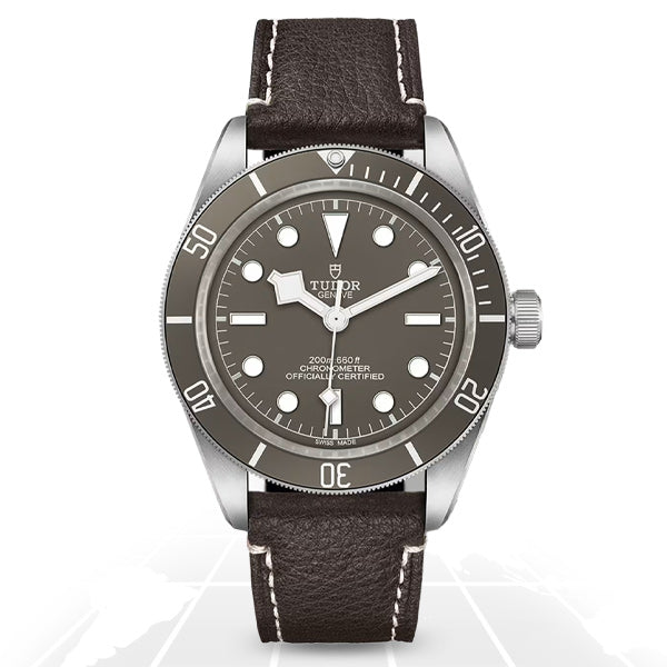 Tudor Black Bay 58 925, reference M79010SG-0001