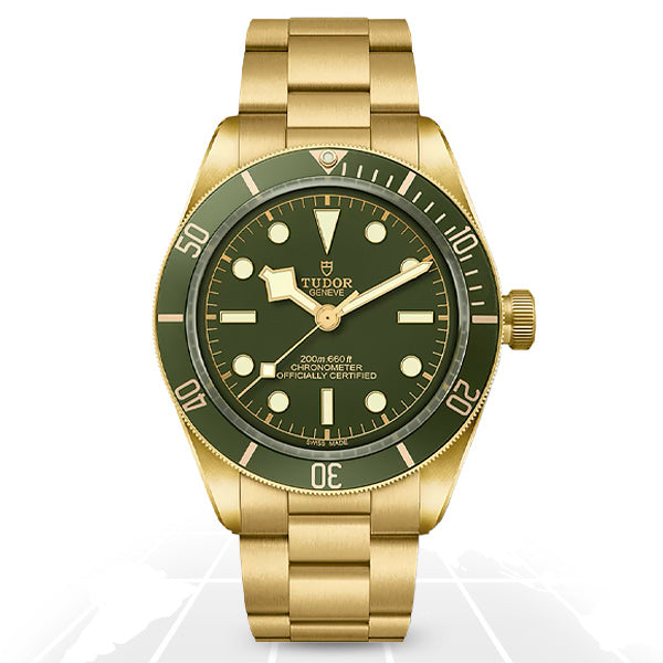 Tudor Black Bay 58 18K, reference M79018V-0006