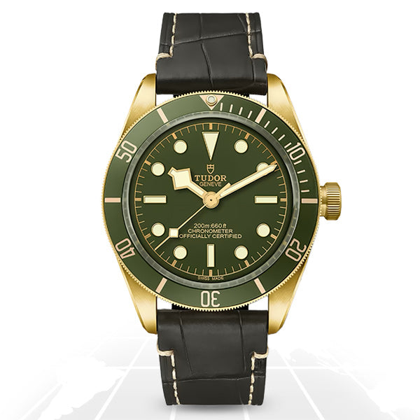 Tudor Black Bay 58 18K, reference M79018V-0001