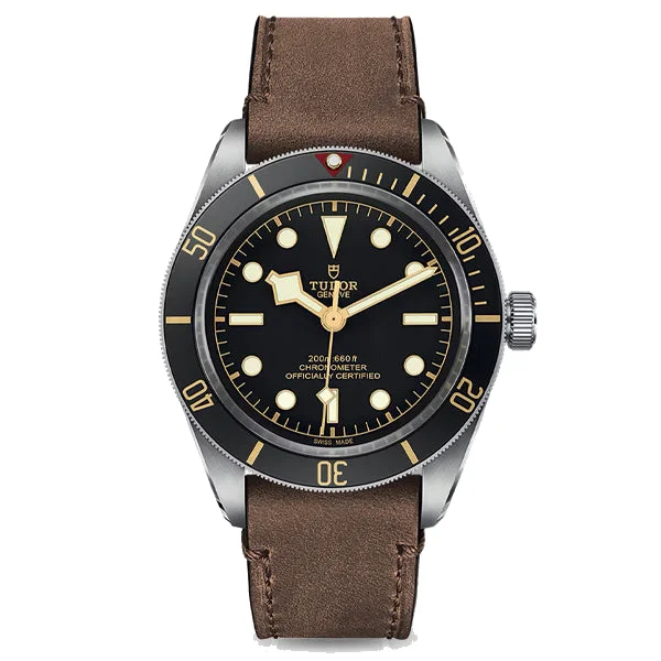 Tudor Black Bay 58, reference M79030N-0002