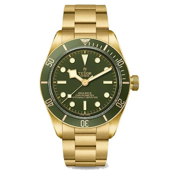 Tudor Black Bay 58 18K, reference M79018V-0006