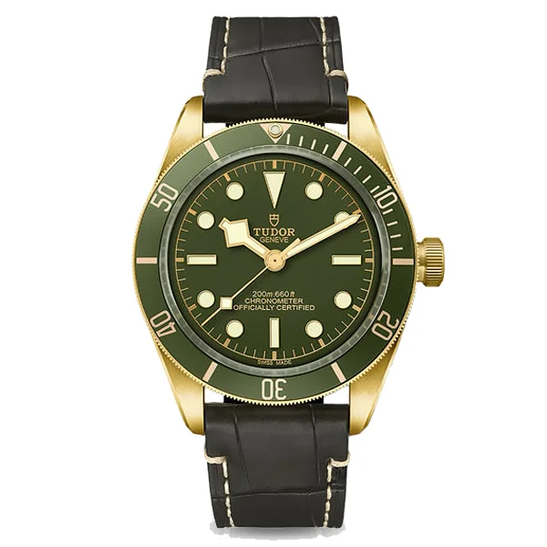 Tudor Black Bay 58 18K, reference M79018V-0001